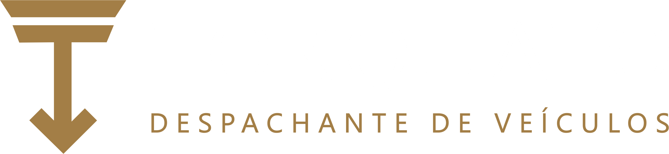 Torquato Despachante de Veículos